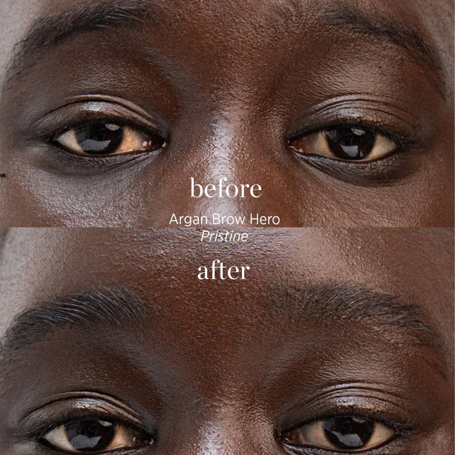 Ere Perez Argan Brow Hero