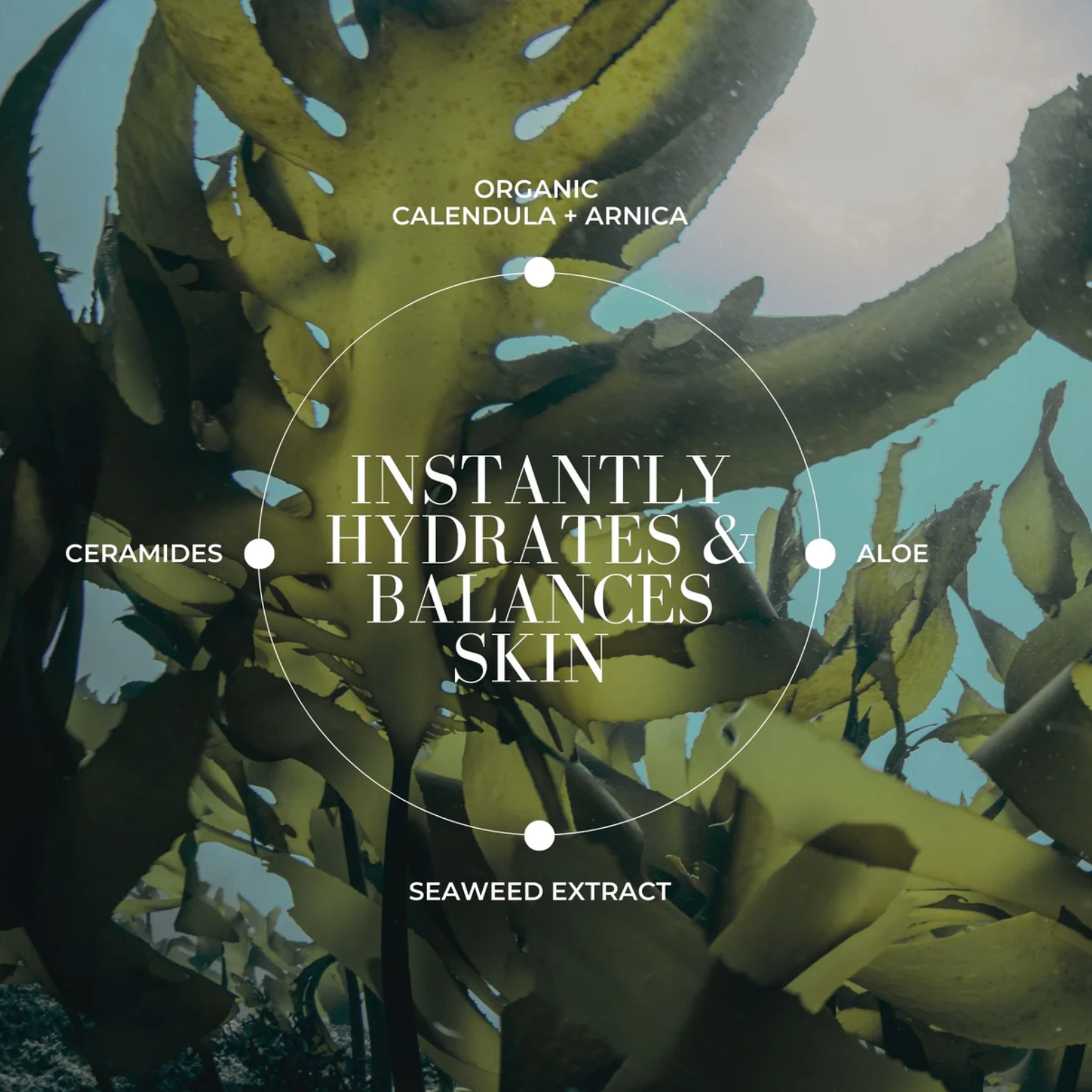 Fitglow Beauty Sea Ceramide Toning Mist