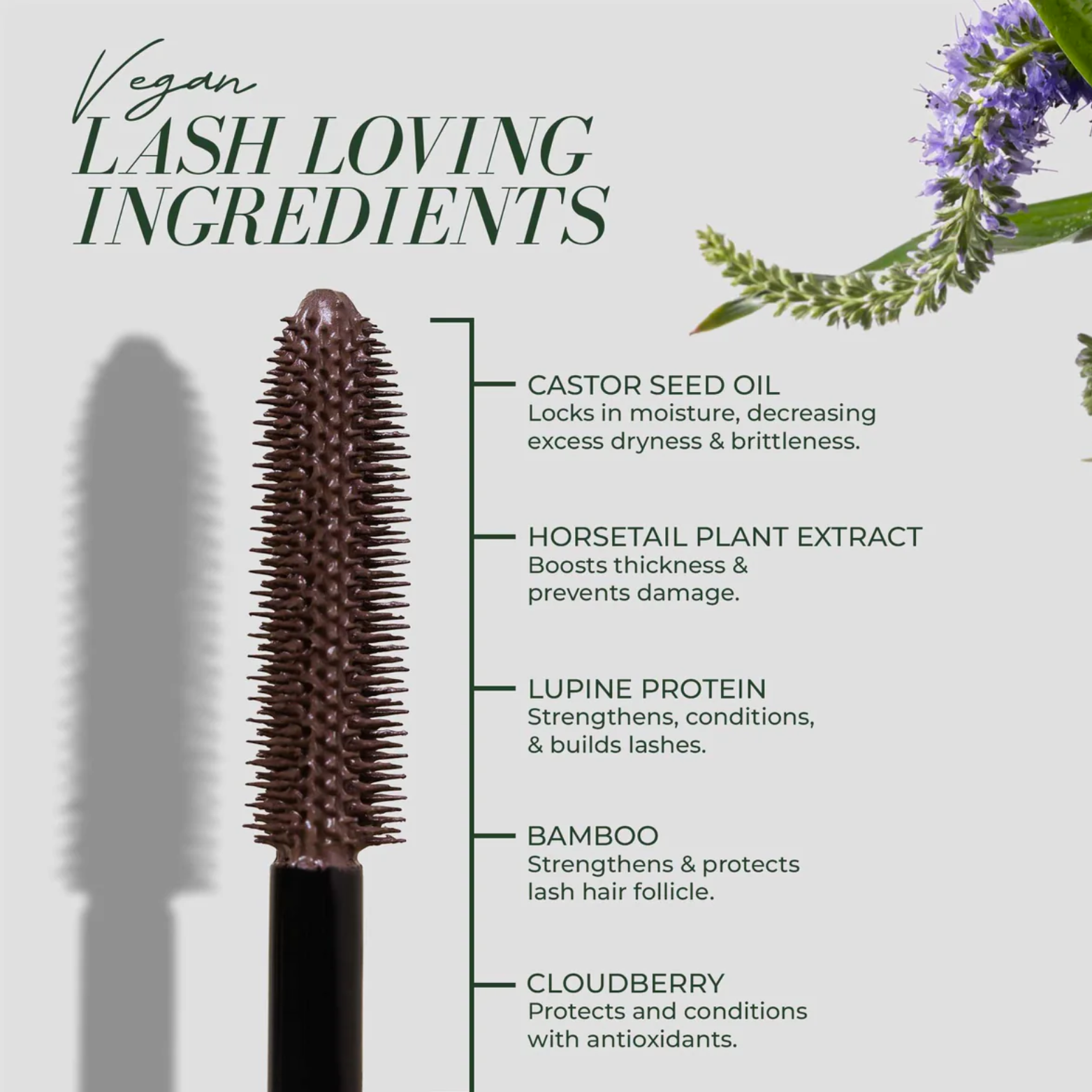 Fitglow Beauty Plum Lash Primer